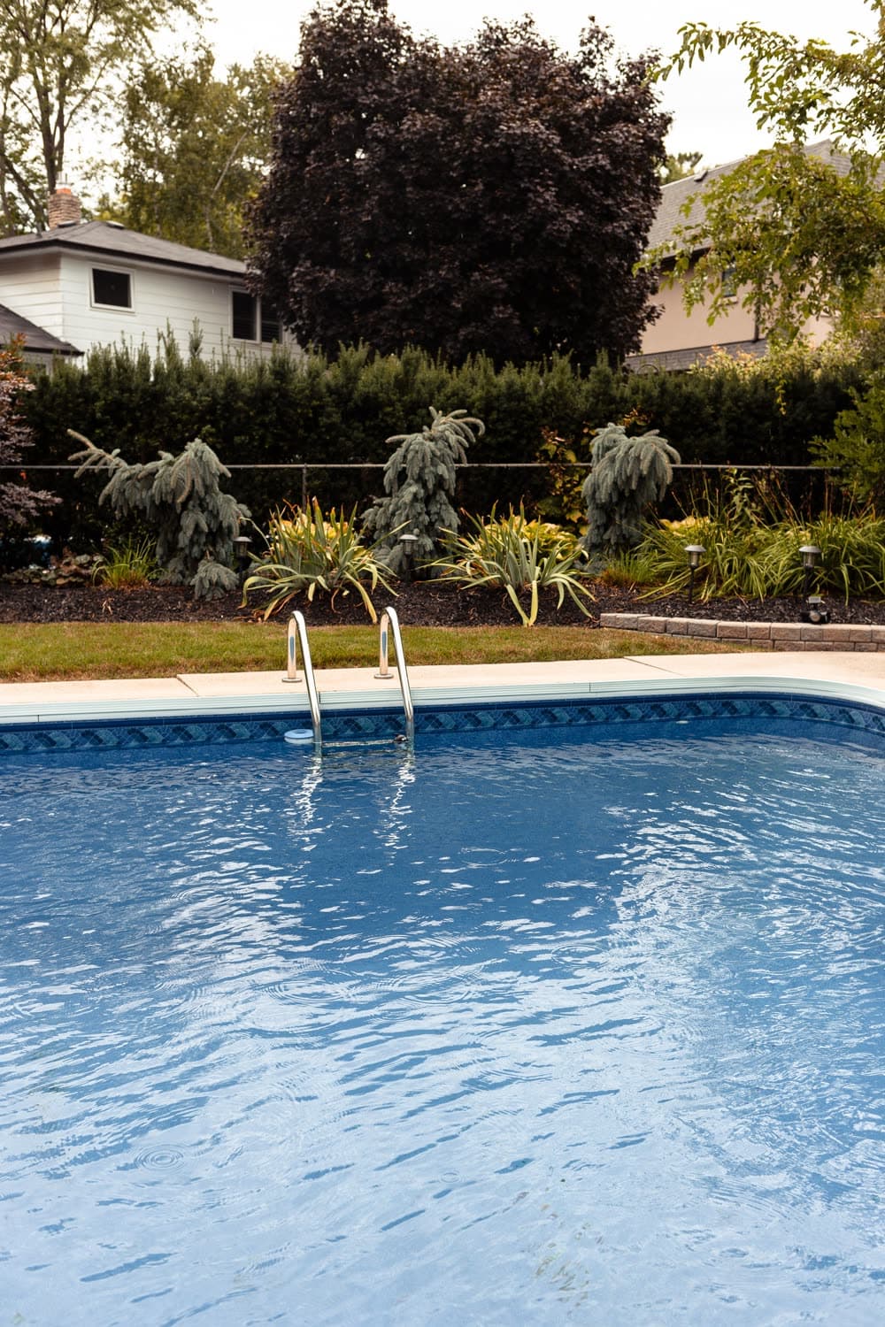 Pool surrounded by garden greenery